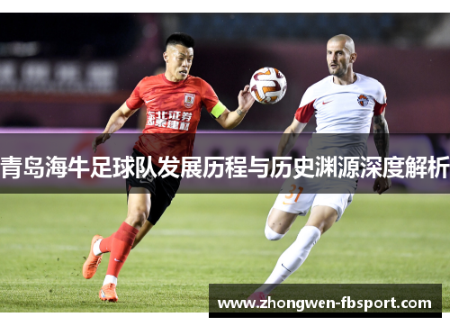 青岛海牛足球队发展历程与历史渊源深度解析