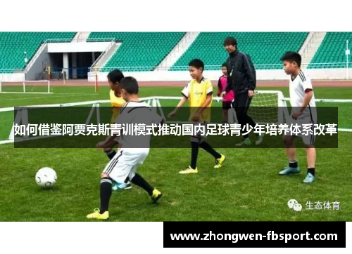 如何借鉴阿贾克斯青训模式推动国内足球青少年培养体系改革
