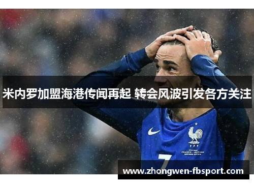 米内罗加盟海港传闻再起 转会风波引发各方关注