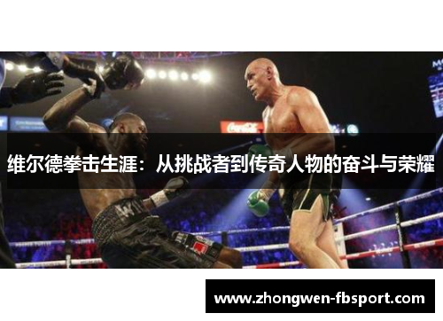 维尔德拳击生涯：从挑战者到传奇人物的奋斗与荣耀